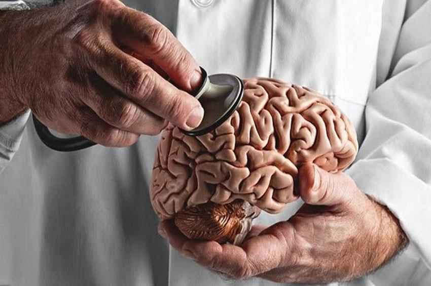 Quais são as principais causas de lesão cerebral e como preveni-las?