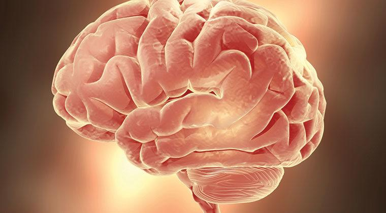 Tipos de Lesão Cerebral e suas Causas